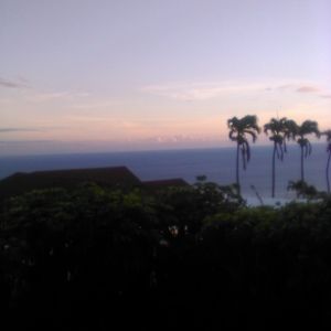 Meet your Posher, Rosie